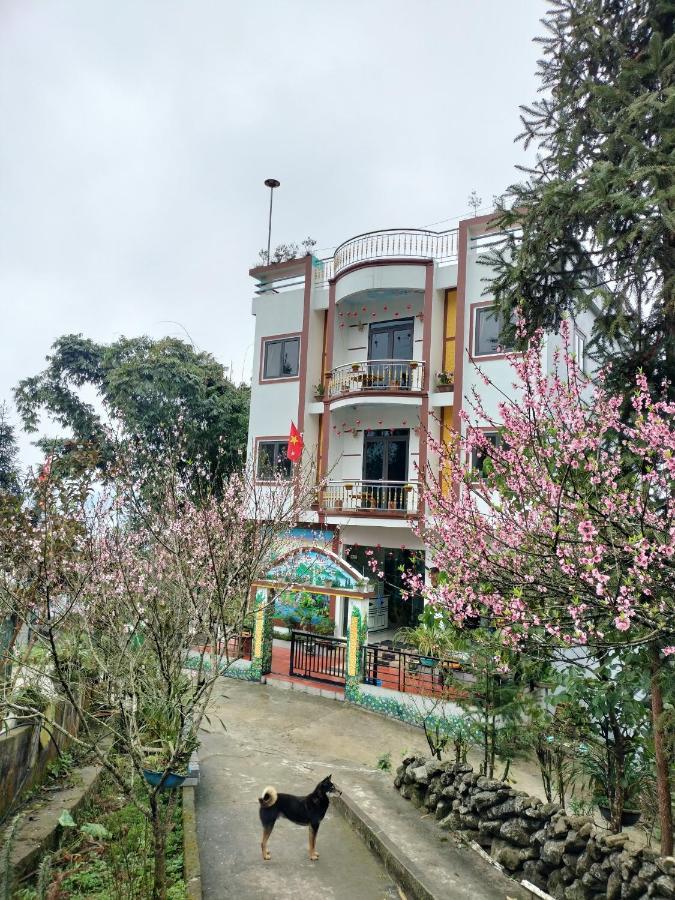 Flying Horse B & B ซาปา ภายนอก รูปภาพ