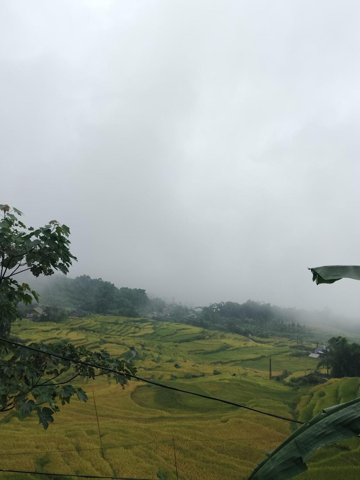 Flying Horse B & B ซาปา ภายนอก รูปภาพ